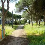 Calm Sunny Near Falesia