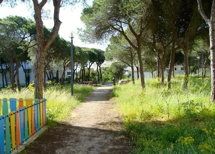 Calm Sunny Near Falesia