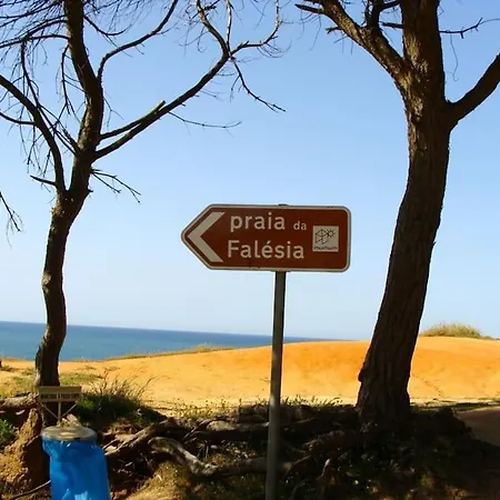 Calm Sunny Near Falesia