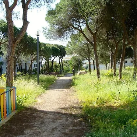 Calm Sunny Near Falesia