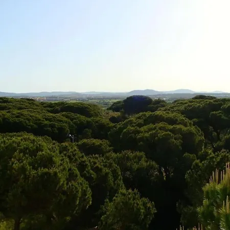 Calm Sunny Near Falesia Daire